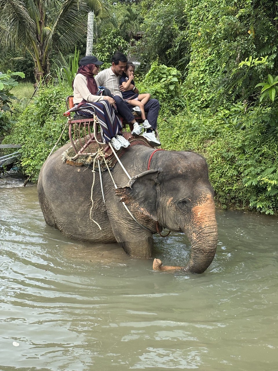 ทริปขี่ช้าง